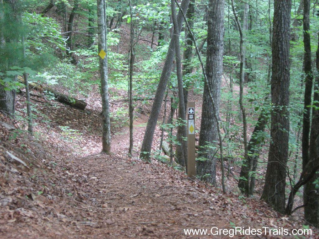 A winding dirt trail surrounded by lush greenery and trees, leading through a forest. Trail markers are visible along the path, indicating directions for hikers. Fallen leaves cover the ground, creating a natural and serene atmosphere. Stonewall Falls Loop mountain bike trail.