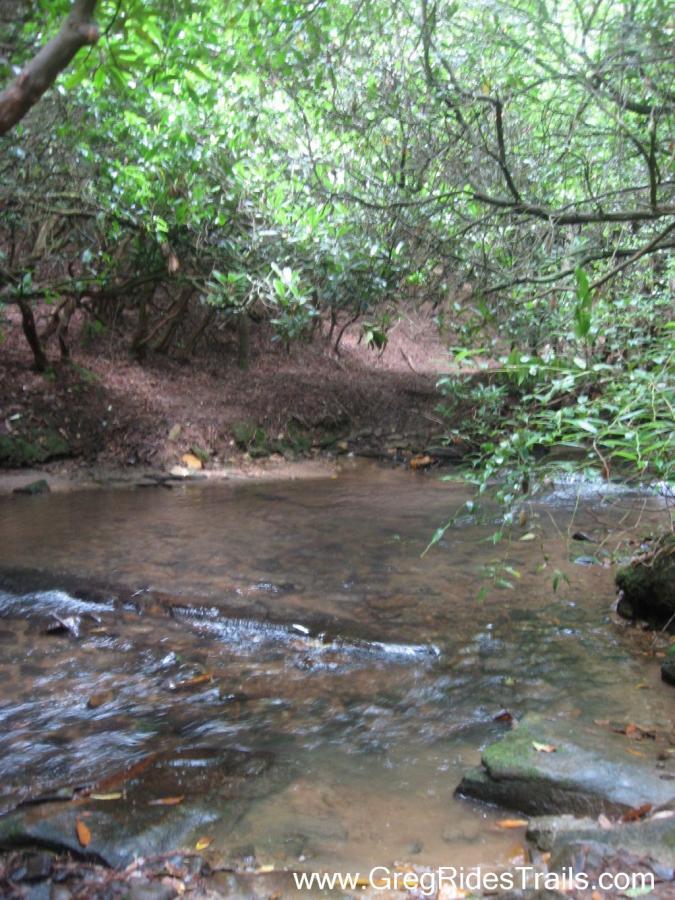 A serene forest scene featuring a gently flowing creek surrounded by lush greenery. The water appears shallow with smooth stones visible beneath the surface, framed by overhanging branches and leaves creating a peaceful natural ambiance. Stonewall Falls Loop mountain bike trail.