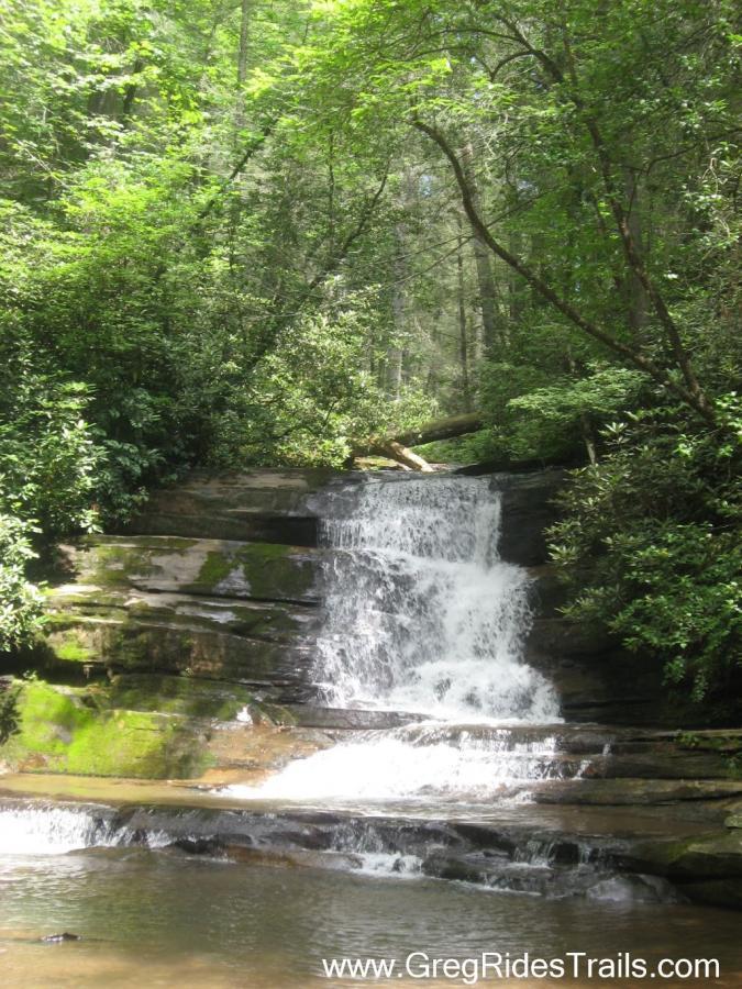 A serene landscape featuring a small waterfall cascading over layered rocks surrounded by lush green foliage and trees. Natural light filters through the canopy, illuminating the water and moss-covered stones. A tranquil pool reflects the beauty of the surrounding forest. Stonewall Falls Loop mountain bike trail.