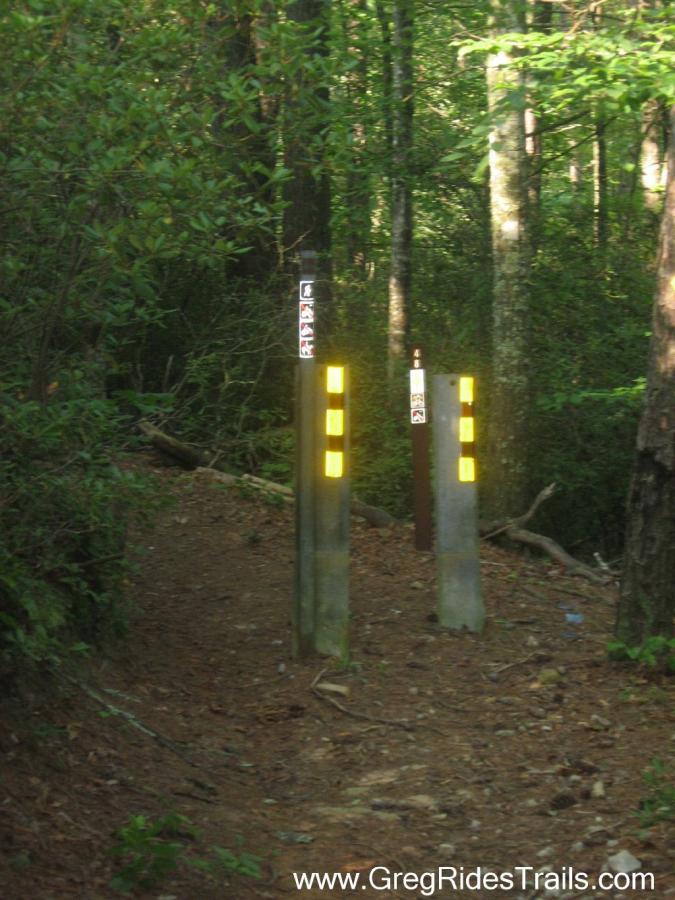 Two trail markers positioned on a dirt path surrounded by dense green foliage and trees. The markers feature reflective yellow sections and signs indicating trail directions or rules, with one marker showing a brown color. Sunlight filters through the tree branches, creating a natural ambiance in the forest. White Twister mountain bike trail.