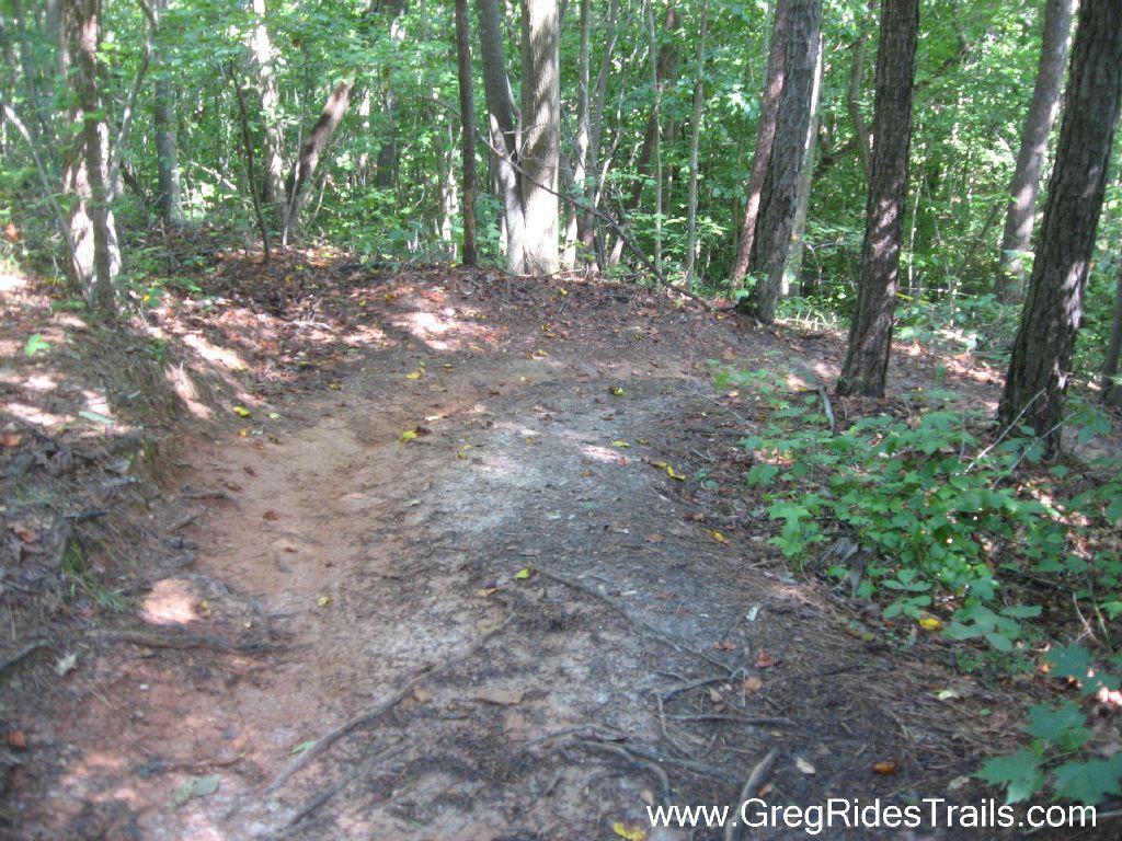 A narrow dirt trail winding through a forest, surrounded by trees and underbrush. Sunlight filters through the leaves, casting dappled shadows on the path. Fallen leaves and small rocks are scattered along the trail, indicating recent natural activity. Chicopee Woods mountain bike trail.