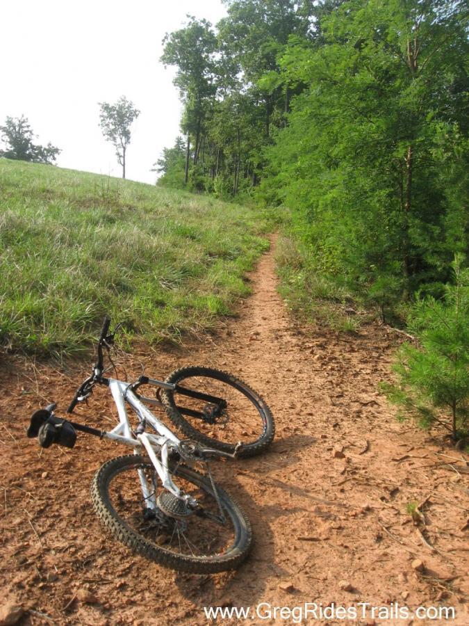 A white mountain bike lying on a dirt trail surrounded by greenery and trees. The path is lined with grass and has a natural, rustic feel, indicating a biking route in a forested area. Jones Creek Ridge Trail mountain bike trail.