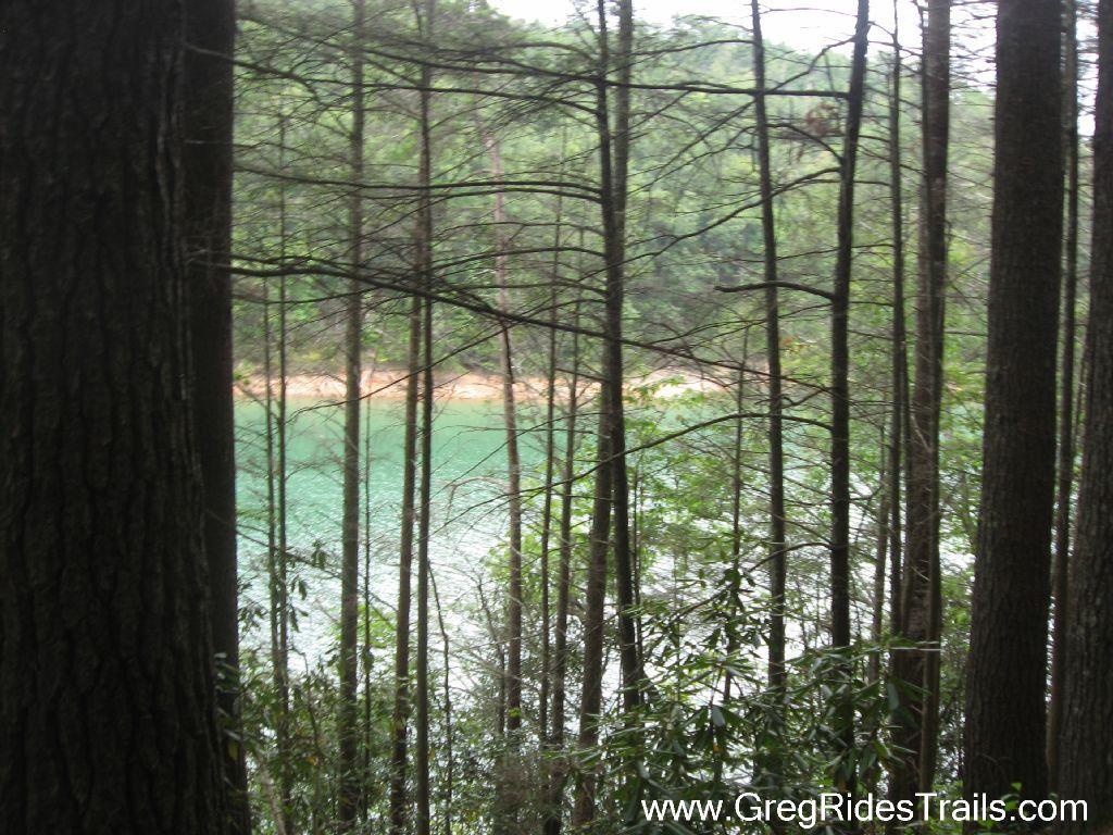 A serene view of a lake through a dense forest, with tall trees and green foliage framing the turquoise water in the background. The scene conveys a tranquil natural setting, ideal for outdoor activities and exploration. Tsali Recreation Area mountain bike trail.
