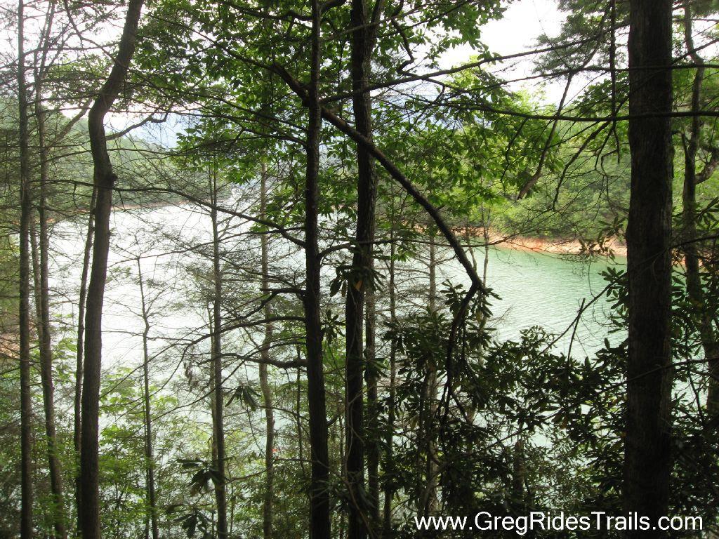 A view of a serene lake surrounded by trees and foliage, seen through a dense forest. The water reflects gentle ripples, and the landscape features a mix of green leaves and the earthy tones of tree trunks. Tsali Recreation Area mountain bike trail.