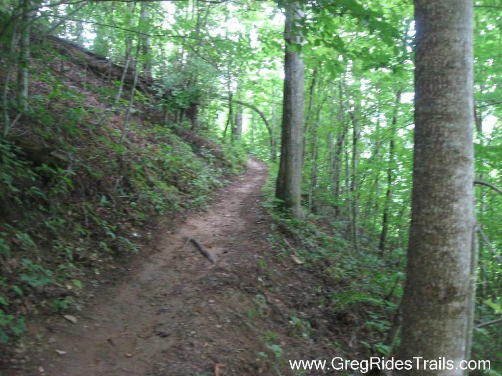 A narrow, winding dirt trail surrounded by lush green vegetation and trees, leading into a dense forest. Tsali Recreation Area mountain bike trail.