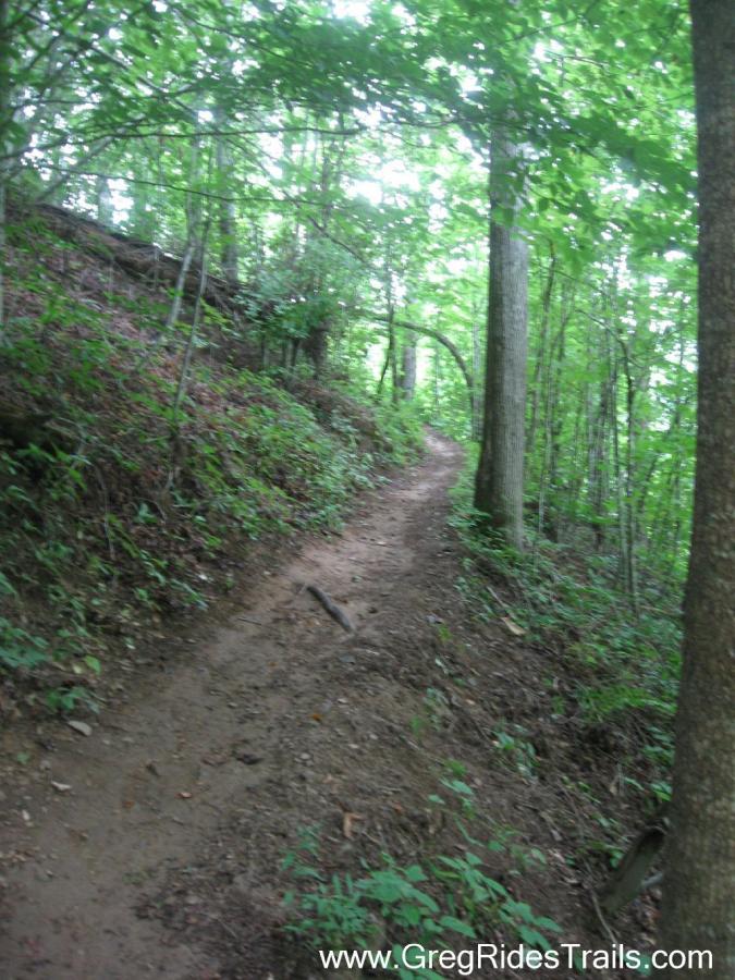A narrow dirt trail winding through a lush, green forest with tall trees and dense foliage on either side. The trail is slightly uneven, suggesting a natural, rugged path. Sunlight filters through the leaves, creating a serene atmosphere. Tsali Recreation Area mountain bike trail.