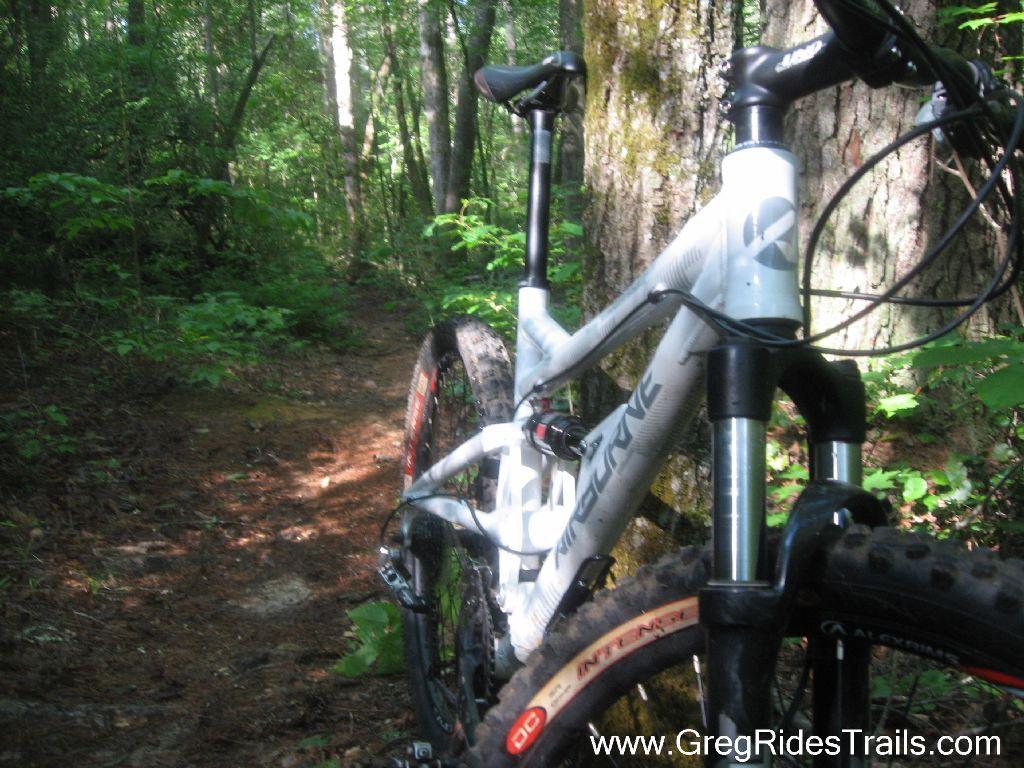 A mountain bike is parked on a dirt trail surrounded by dense greenery in a forest. The bike is positioned prominently in the foreground with large tires and a sleek frame, while the trail winds into the background, indicating a nature setting ideal for cycling. Sunlight filters through the trees, casting soft shadows on the path. Stonewall Falls Loop mountain bike trail.