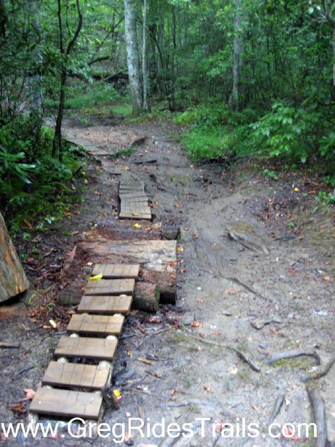 Wooden planks create a narrow bridge over a muddy area on a forest trail, surrounded by lush greenery and trees. The path appears damp, indicating recent rainfall. Tsali Thompson Loop mountain bike trail.