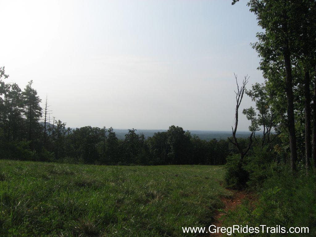 A panoramic view of a green, hilly landscape under a clear sky, lined with trees. In the foreground, a grassy field leads to a distant horizon that hints at rolling hills and a vast expanse of nature. Jones Creek Ridge Trail mountain bike trail.