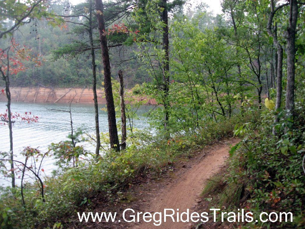 A dirt trail meanders alongside a calm lake, surrounded by lush green trees and shrubs. In the background, a gentle slope rises, showing hints of autumn foliage. The scene is set in a tranquil, wooded area, suggesting a peaceful outdoor environment. Tsali Recreation Area mountain bike trail.