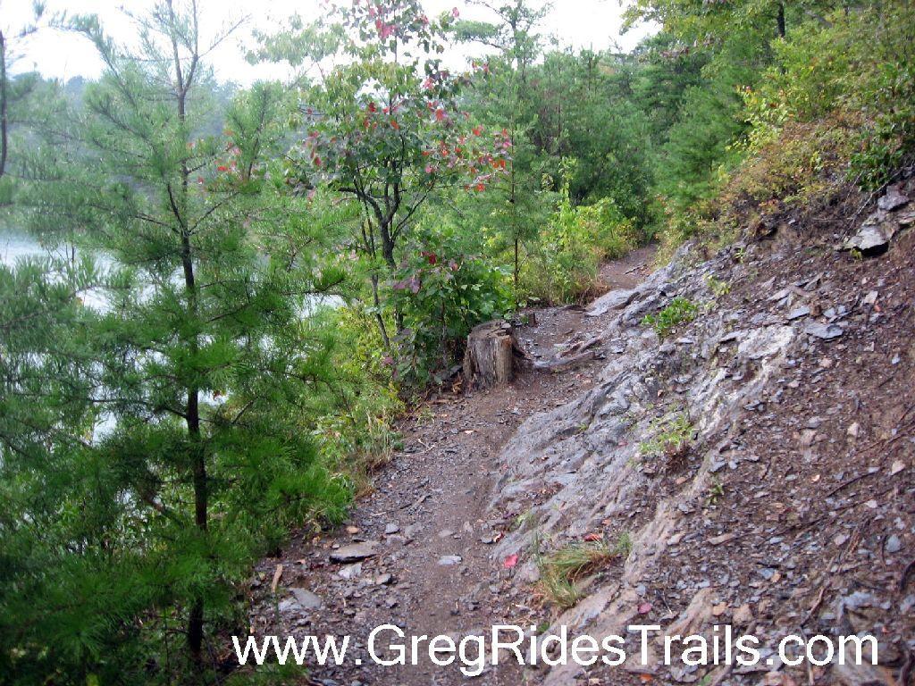 A narrow hiking trail winding along a rocky edge, surrounded by lush greenery and small pine trees. Some foliage shows signs of autumn with red leaves. In the background, a calm body of water can be glimpsed through the trees, suggesting a tranquil natural setting. Tsali Left Loop mountain bike trail.