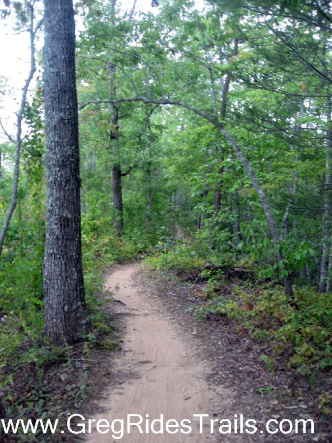 A narrow dirt path winds through a lush green forest, bordered by tall trees and dense foliage. The trail appears to lead further into the woods, inviting exploration and adventure. Tsali Recreation Area mountain bike trail.