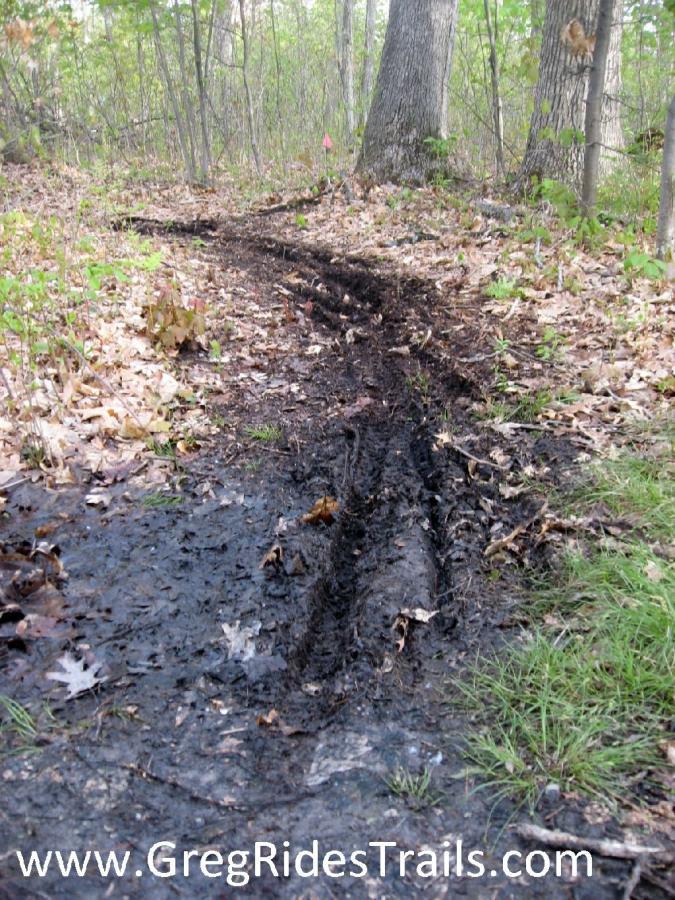 A muddy trail winding through a forest with fallen leaves on the ground and trees surrounding the path. Clear tire tracks are visible in the mud, indicating the trail is used for biking or other outdoor activities. Snodgrass mountain bike trail.