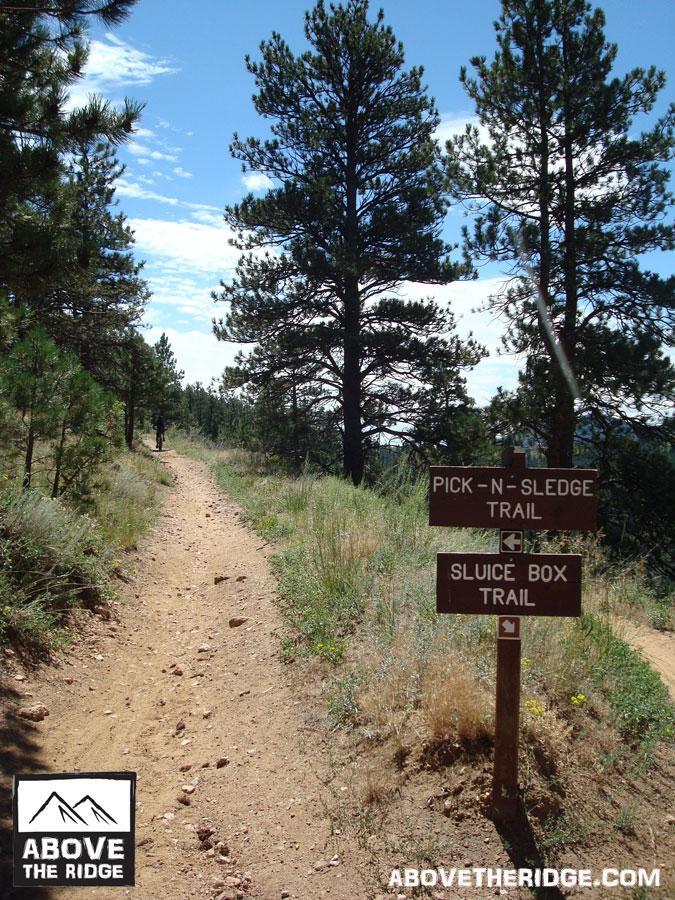 A dirt hiking trail surrounded by tall pine trees under a bright blue sky. Two wooden signs indicate trail directions: one for "Pick-N-Sledge Trail" and the other for "Sluice Box Trail." The path is well-defined, with rocky sections and greenery along the edges. Apex Park mountain bike trail.