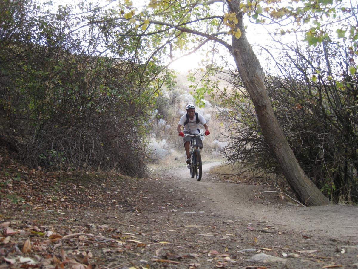 A mountain biker riding along a narrow trail surrounded by bushes and trees in an outdoor setting, with fallen leaves scattered on the ground. Corral Loop mountain bike trail.