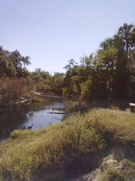 A peaceful natural scene featuring a winding river surrounded by lush greenery and trees under a clear blue sky. The banks of the river are lined with grass and shrubs, creating a serene atmosphere. Little Big Econ State Forest mountain bike trail.