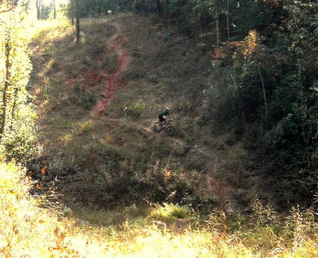 A mountain biker riding down a dirt trail through a wooded area, surrounded by tall trees and sparse underbrush. The trail is marked by reddish soil, and the sunlight filters through the leaves, creating a natural and vibrant setting. Fort Rucker mountain bike trail.