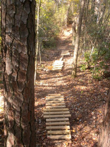 A wooded trail in autumn, featuring wooden planks arranged to create a pathway over the ground, surrounded by trees and fallen leaves. The trail appears to lead further into the forest. Fort Rucker mountain bike trail.