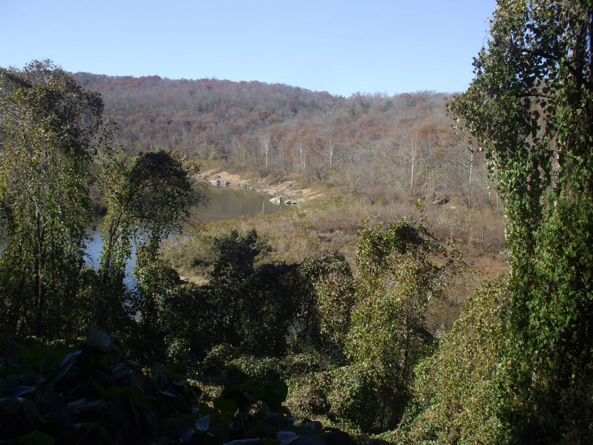 A scenic view of a river surrounded by wooded hills, featuring a mix of green foliage and autumn-colored trees. The landscape captures the natural beauty of a tranquil environment under a clear blue sky. Laural Lake To Cumberland Falls (sheltowee Trace) mountain bike trail.