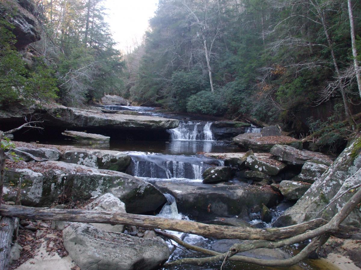 A scenic view of a tranquil waterfall cascading over rocky formations in a wooded area. Surrounded by lush green trees, the water flows gently into a small pool, with autumn leaves scattered on the rocks. The scene captures the beauty of nature and the peacefulness of the forest. Laural Lake To Cumberland Falls (sheltowee Trace) mountain bike trail.