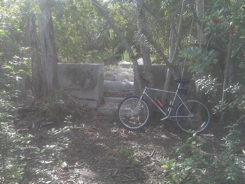 A silver bicycle leaning against a tree near a partially obscured path surrounded by dense greenery. Concrete structures can be seen in the background, partially covered with foliage. The scene is calm and slightly overcast, highlighting the natural surroundings. West Delray Regional Park mountain bike trail.