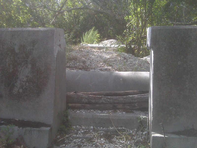 A view of a weathered concrete barrier with a large, moss-covered log lying across a gravel pathway. Lush greenery and trees frame the scene, creating a natural backdrop with scattered stones in the foreground. The setting suggests an overgrown area that has seen little human activity. West Delray Regional Park mountain bike trail.