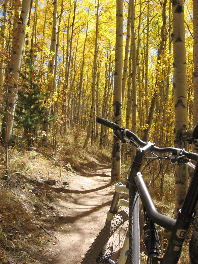 A mountain bike is positioned beside a winding dirt trail, surrounded by tall aspen trees with vibrant yellow leaves. Sunlight filters through the foliage, casting dappled shadows on the ground. The scene evokes a sense of adventure in a picturesque autumn forest. Colorado Trail: Kenosha Pass To Breckenridge mountain bike trail.