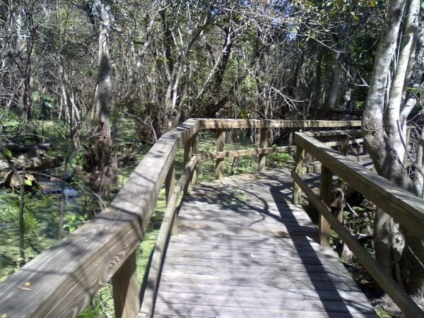 A wooden boardwalk winding through a dense, wooded area with trees and shrubs surrounding it. The scene is bright and sunny, with dappled light casting shadows on the path. Environmental Center mountain bike trail.