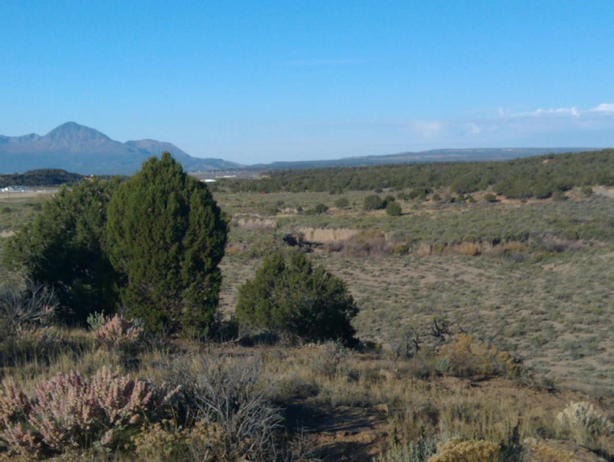 A scenic landscape featuring rolling hills and a blend of green vegetation, including shrubs and trees, set against a backdrop of distant mountains under a clear blue sky. Phil's World mountain bike trail.