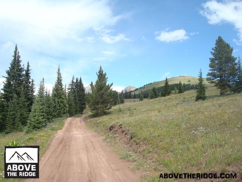 A scenic dirt road winding through a lush green landscape, flanked by tall pine trees under a partly cloudy blue sky. Rolling hills can be seen in the background, showcasing a natural, tranquil setting ideal for outdoor adventures. The image features a logo in the lower left corner. Reno / Flag / Bear / Deadman Loop mountain bike trail.