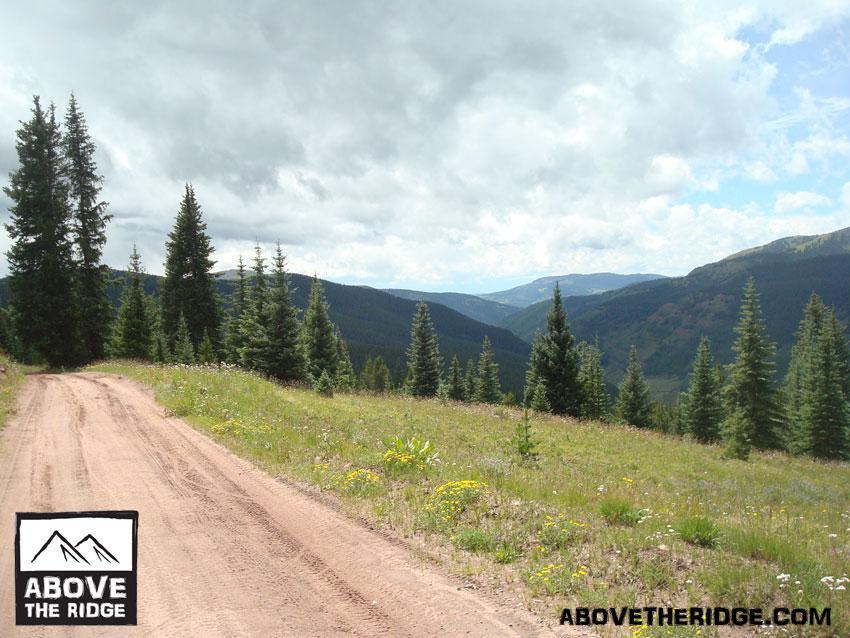A dirt road winding through a lush green landscape, surrounded by tall evergreen trees and rolling mountains under a partly cloudy sky. Wildflowers dot the grassy areas along the path, showcasing the beauty of nature. The image features a logo in the lower left corner with the text "ABOVE THE RIDGE." Reno / Flag / Bear / Deadman Loop mountain bike trail.