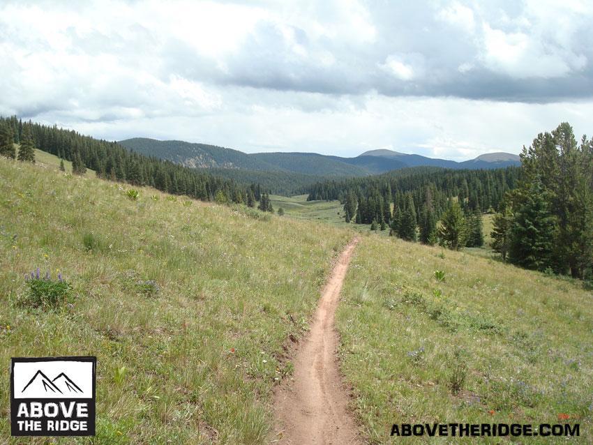 A scenic view of a dirt path winding through a lush green meadow, flanked by dense forests and rolling hills under a partly cloudy sky. The image features vibrant wildflowers in the foreground, with mountains visible in the distance. The logo for "Above The Ridge" is displayed in the corner. Reno / Flag / Bear / Deadman Loop mountain bike trail.