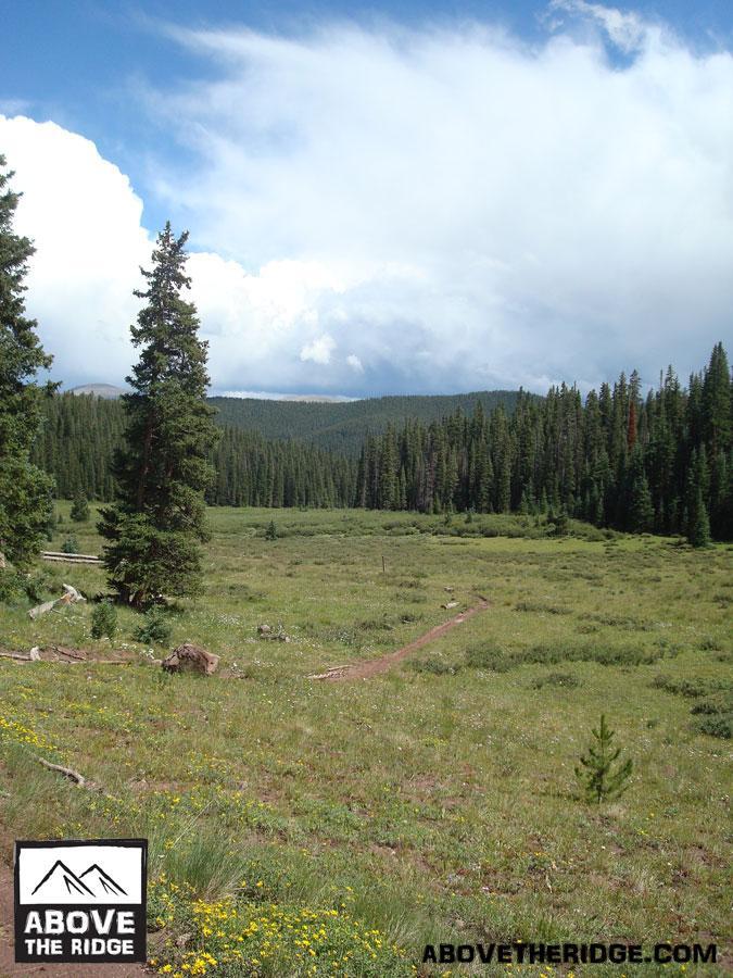 A scenic view of a meadow surrounded by dense evergreen trees, with rolling hills in the distance under a partly cloudy sky. A dirt trail meanders through the grassy landscape, which is dotted with colorful wildflowers. Reno / Flag / Bear / Deadman Loop mountain bike trail.