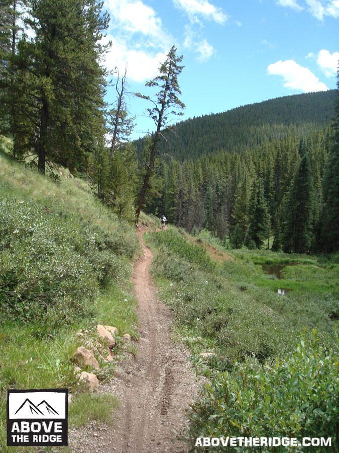 A winding dirt trail through a lush green landscape, surrounded by tall trees and rolling hills. The sky is partly cloudy, and a cyclist can be seen riding along the path in the distance. Reno / Flag / Bear / Deadman Loop mountain bike trail.