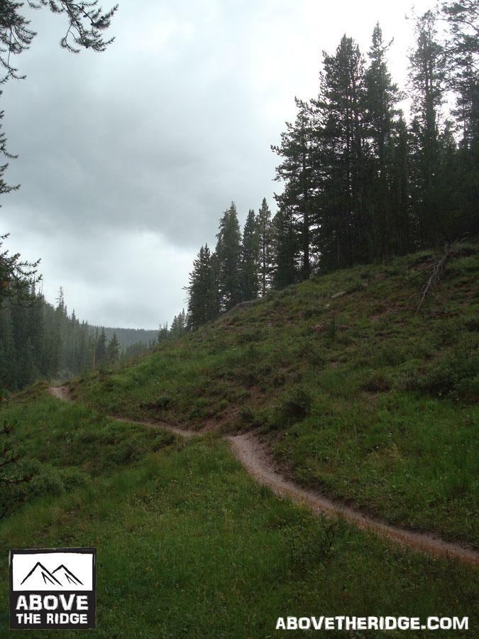 A winding dirt path through a lush green hillside surrounded by tall trees, under a cloudy sky. The scene conveys a tranquil, natural landscape, perfect for outdoor activities like hiking. Reno / Flag / Bear / Deadman Loop mountain bike trail.