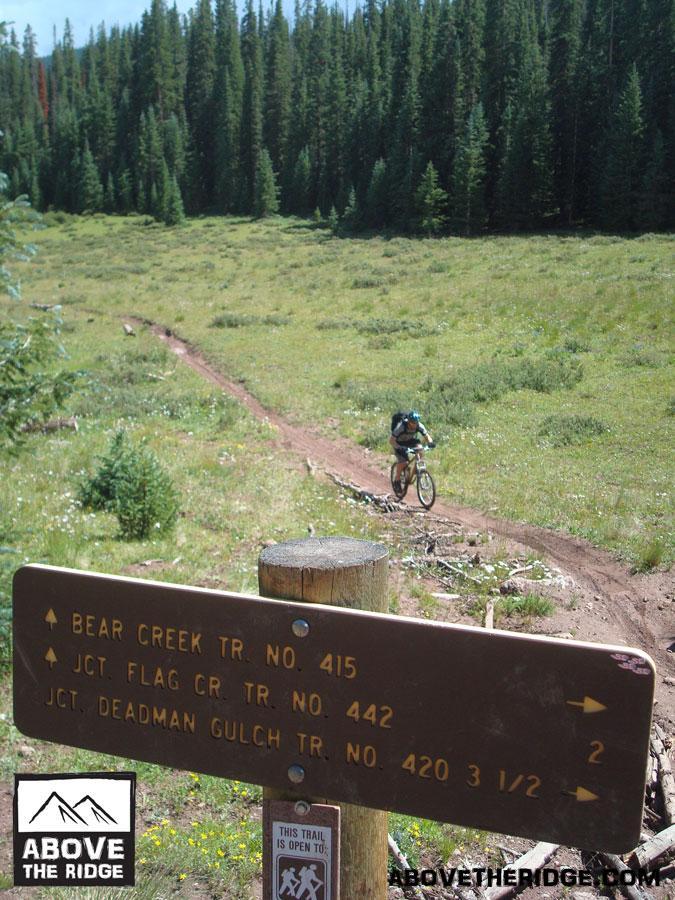 A mountain biker rides along a dirt trail in a forested area, with a wooden trail sign in the foreground displaying directions for Bear Creek Trail No. 415, Junction Flag Creek Trail No. 442, and Junction Deadman Gulch Trail No. 420. The landscape features lush green grass and tall pine trees under a clear blue sky. Reno / Flag / Bear / Deadman Loop mountain bike trail.