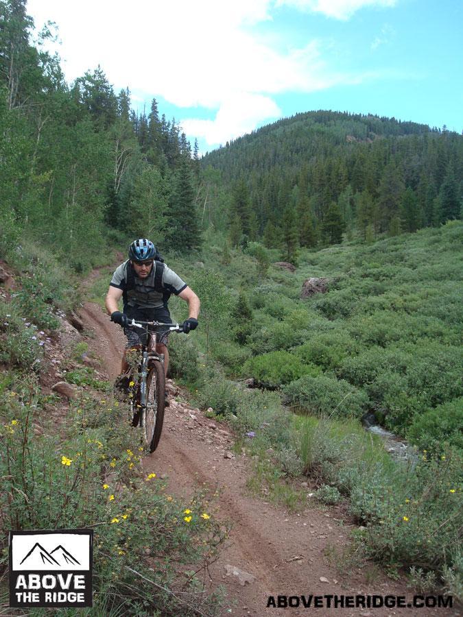 A mountain biker riding on a narrow dirt trail surrounded by lush greenery, with hills in the background under a partly cloudy sky. Wildflowers are visible along the path, and the cyclist is wearing a helmet and a backpack. Reno / Flag / Bear / Deadman Loop mountain bike trail.