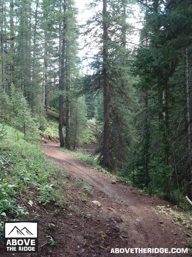 A winding dirt trail surrounded by tall pine trees, leading through a lush forest. The path curves to the right, showcasing a natural, earthy landscape with patches of green vegetation and scattered rocks along the side. A logo for "Above The Ridge" is displayed in the bottom left corner. Reno / Flag / Bear / Deadman Loop mountain bike trail.