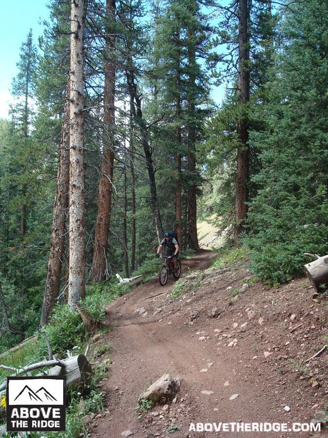 A mountain biker navigates a winding dirt trail surrounded by tall trees in a forested landscape. The path is lined with rocks and fallen logs, showcasing a rugged outdoor setting. Reno / Flag / Bear / Deadman Loop mountain bike trail.