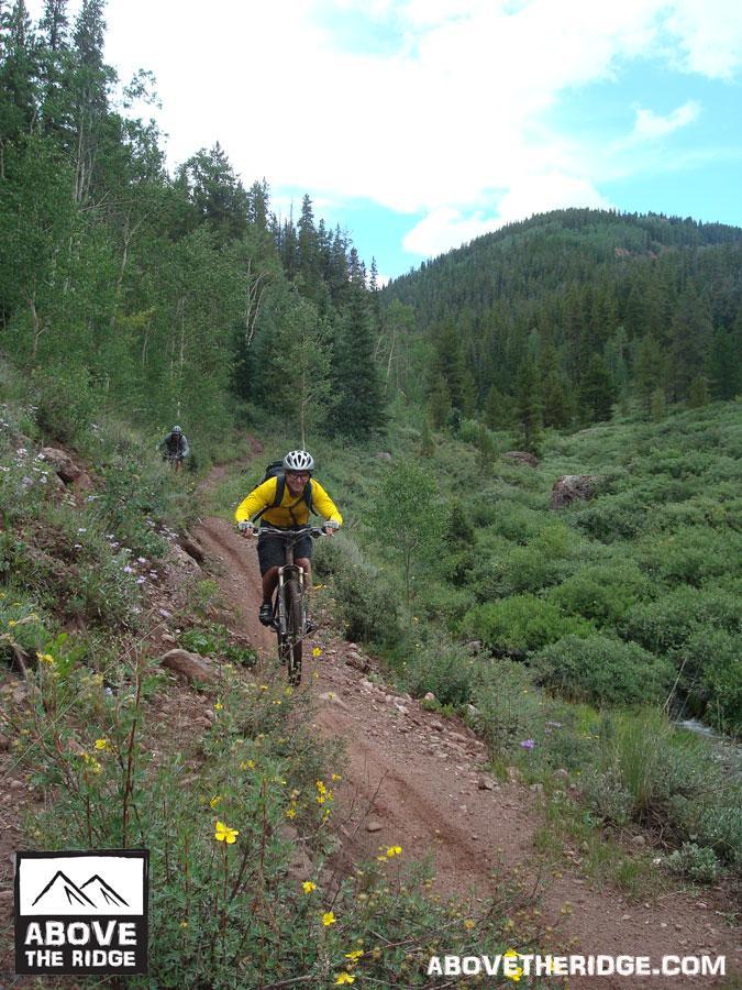 A mountain biker wearing a yellow jacket and helmet navigates a trail through a lush green landscape, surrounded by trees and wildflowers. In the background, another cyclist follows along the winding path under a blue sky with scattered clouds. The scene captures the essence of outdoor adventure and cycling in nature. Reno / Flag / Bear / Deadman Loop mountain bike trail.