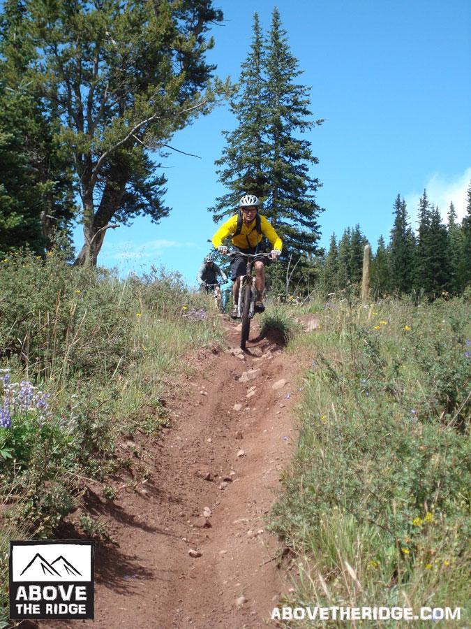 A mountain biker wearing a yellow jacket and helmet rides down a dirt trail surrounded by tall trees and wildflowers under a blue sky. Another cyclist can be seen in the background. Reno / Flag / Bear / Deadman Loop mountain bike trail.