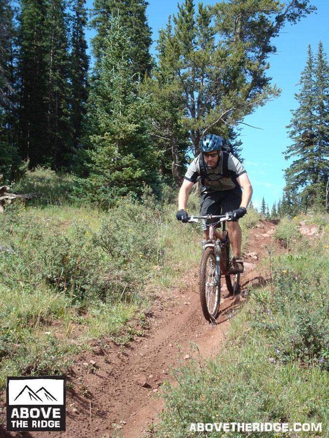 A mountain biker navigating a dirt trail surrounded by trees and greenery, wearing a helmet and cycling gear. The image captures the excitement of outdoor biking in a natural setting. Reno / Flag / Bear / Deadman Loop mountain bike trail.