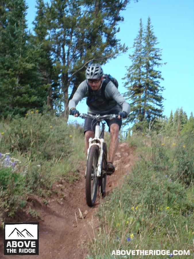 A mountain biker navigates a dirt trail surrounded by trees and wildflowers, wearing a helmet and cycling gear. The cyclist is focused on the path ahead, with the bike's front wheel lifted slightly as they ride downhill. Reno / Flag / Bear / Deadman Loop mountain bike trail.