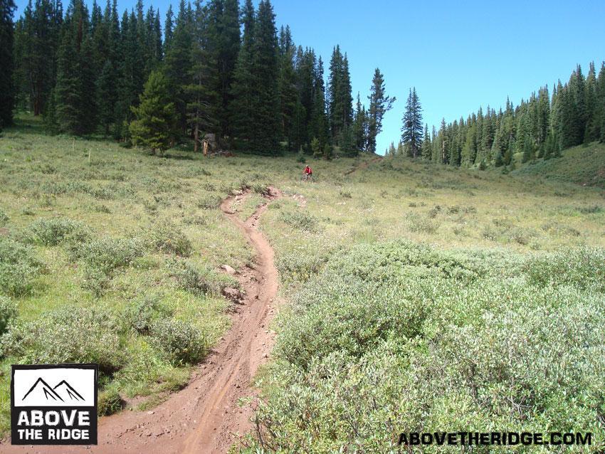 A winding dirt trail leads through a grassy meadow surrounded by tall evergreen trees under a clear blue sky. In the distance, a person in red can be seen riding a bike along the path. The scene captures the beauty of nature and outdoor adventure. Reno / Flag / Bear / Deadman Loop mountain bike trail.