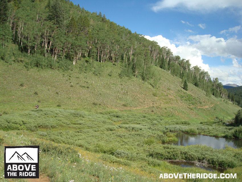 A serene landscape featuring a green hillside covered with lush vegetation and scattered trees. In the foreground, a small pond reflects the blue sky and nearby mountains. Fluffy white clouds drift above, suggesting a pleasant day in nature. The logo for "Above the Ridge" is displayed in the corner. Reno / Flag / Bear / Deadman Loop mountain bike trail.