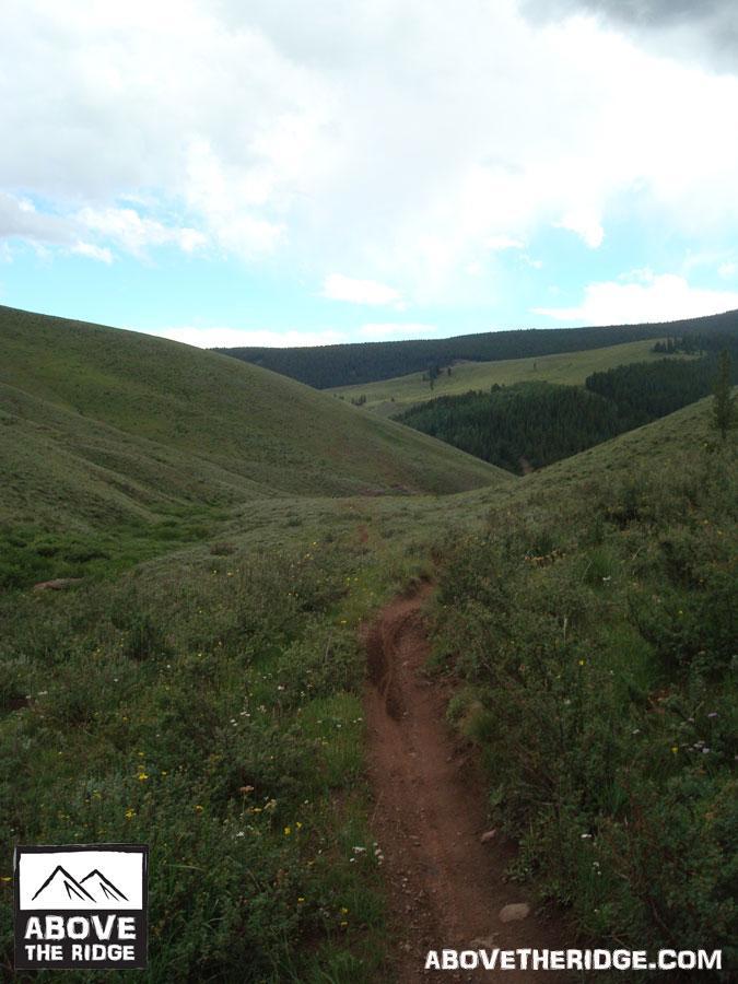A winding dirt trail leads through lush green meadows and hills, with patches of wildflowers scattered along the path. In the distance, a forested area is visible under a partly cloudy sky. The scene captures the essence of a tranquil outdoor landscape suitable for hiking and exploring nature. Reno / Flag / Bear / Deadman Loop mountain bike trail.