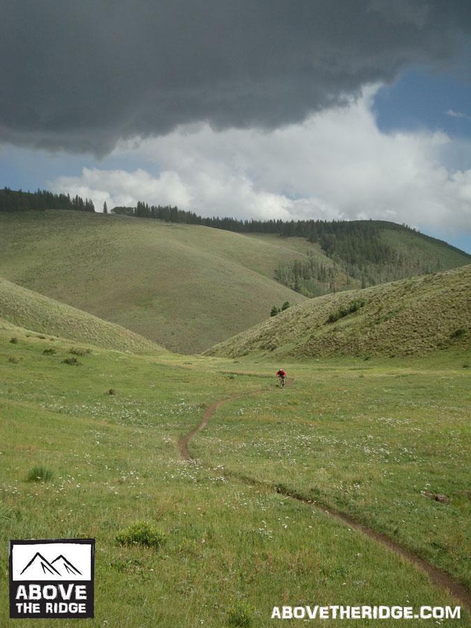 A winding dirt path leads through lush green hills under a cloudy sky, with a single cyclist in a red outfit riding in the distance. The landscape features patches of wildflowers and stretches of grass, emphasizing the natural beauty of the area. Reno / Flag / Bear / Deadman Loop mountain bike trail.