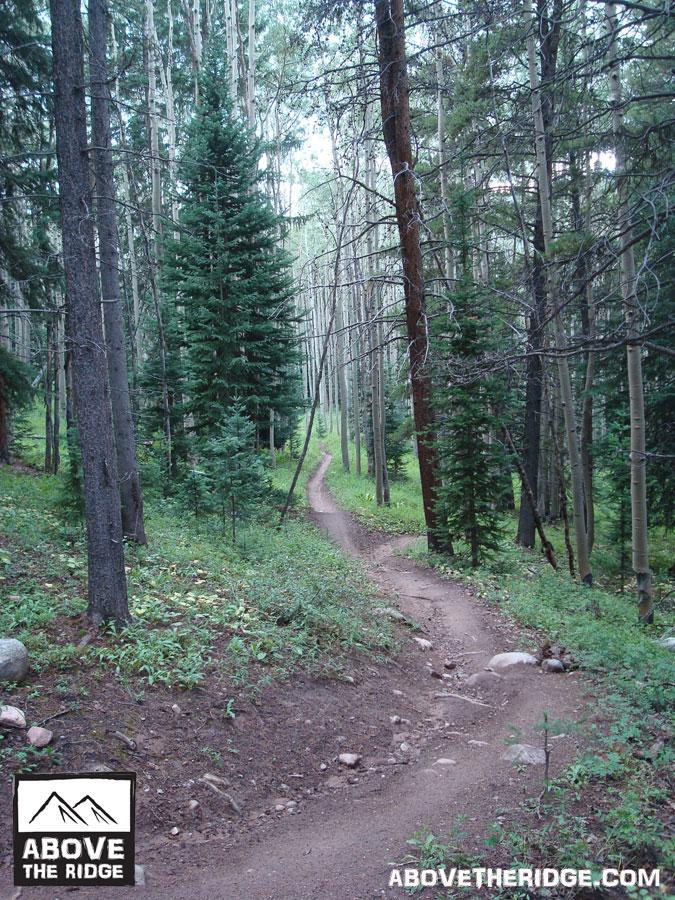 A winding dirt path through a lush forest, surrounded by tall trees and greenery. The scene is tranquil, with a mix of evergreen and deciduous trees lining the trail, creating a serene ambiance. Reno / Flag / Bear / Deadman Loop mountain bike trail.
