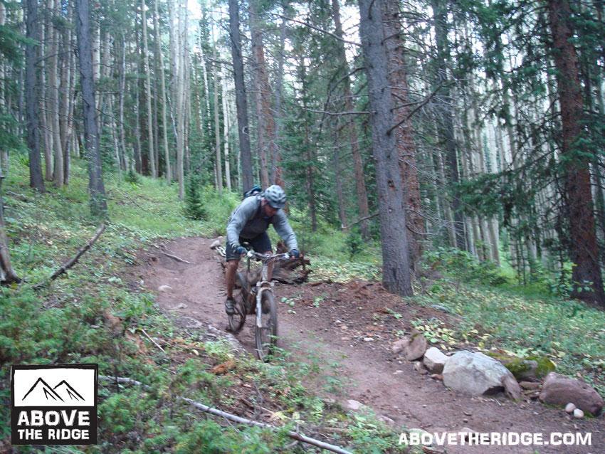 A mountain biker navigating a dirt trail in a dense forest, surrounded by tall trees and underbrush. The cyclist is wearing a helmet and backpack, riding a mountain bike on a rugged terrain. Reno / Flag / Bear / Deadman Loop mountain bike trail.