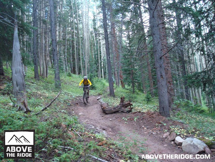 A mountain biker in a yellow shirt navigates a dirt trail through a dense forest of tall trees, with lush greenery surrounding the path. Reno / Flag / Bear / Deadman Loop mountain bike trail.